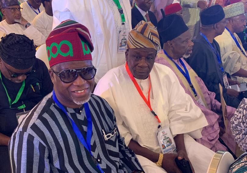 APC Summit: Alabi Aligns with Tinubu’s Agenda for National Growth