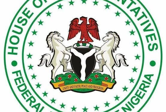 Reps Propose Jail Term, Fine for Citizens Who Shun Voting