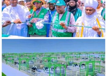 With ₦60bn in Hand, Yahaya Declares Tinubu’s Victory Assured