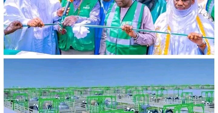 With ₦60bn in Hand, Yahaya Declares Tinubu’s Victory Assured