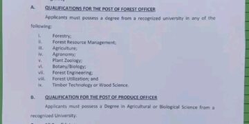 Jobs in Ondo: Civil Service Commission Calls for Applications