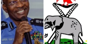 IGP Backs Peaceful Protest, Vows Security for Retired Officers