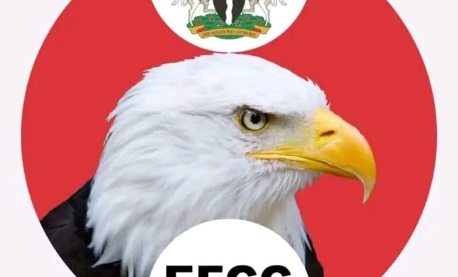 EFCC Secures Legal Victory in Tax Evasion Investigation Dispute