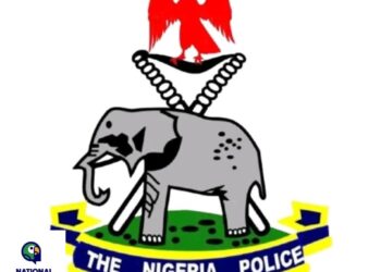 Egbetokun Orders Review of 151 Senior Officers for Ethical Violations