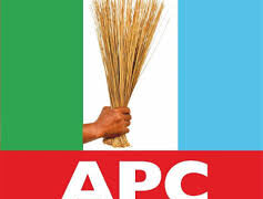 APC to Protesters: LG Appointments Will Follow Party Rules