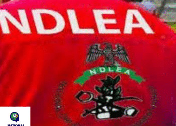 NDLEA Fixes Date for Recruitment, Calls for Applications