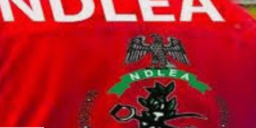 NDLEA Fixes Date for Recruitment, Calls for Applications