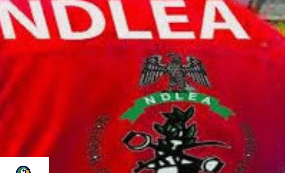 NDLEA Fixes Date for Recruitment, Calls for Applications