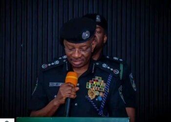 Arrests, Rescues, Recoveries: Police Publish Two-Month Security Gains