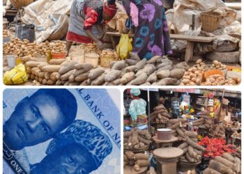 Inflation Cools on Paper, Still Hot in the Market Stall