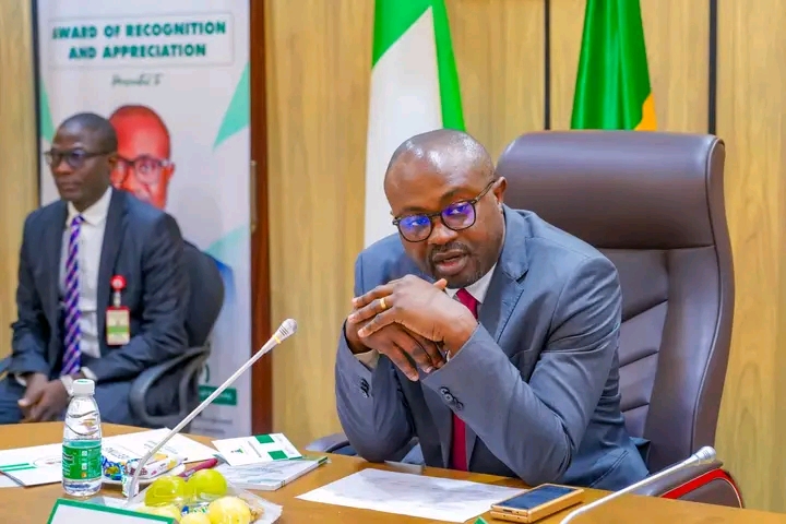 Citizenship Under Review as Tunji-Ojo Leads Integrity-Driven Committee