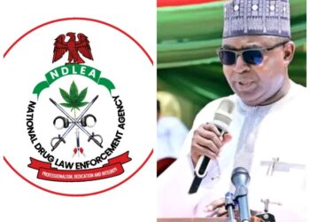 NDLEA to Nigerians: Drug War Is Working