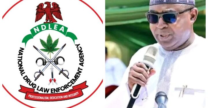 NDLEA to Nigerians: Drug War Is Working