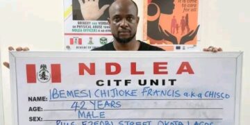 Wanted Lagos Hotelier Arrested as NDLEA Uncovers Large Drug Cache