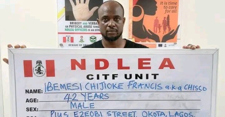 Wanted Lagos Hotelier Arrested as NDLEA Uncovers Large Drug Cache