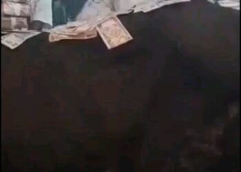 Female Archbishop Arrested for Spraying Naira on Live Cow in Church