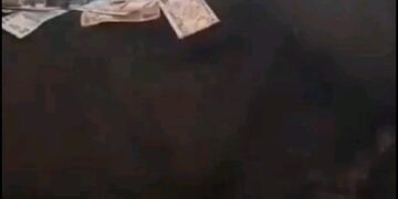 Female Archbishop Arrested for Spraying Naira on Live Cow in Church