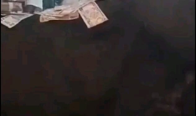 Female Archbishop Arrested for Spraying Naira on Live Cow in Church