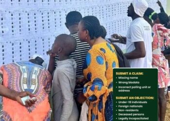 INEC Asks New Registrants to Check Their Names at LGA Offices