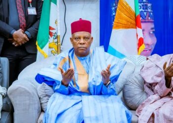 2027 Poll: APC Speaks on Shettima Replacement