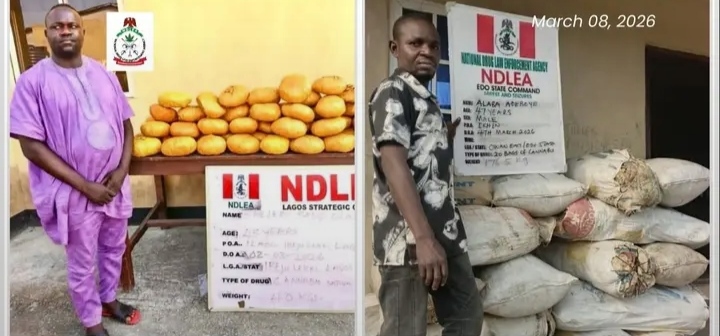NDLEA Arrests Ex-Lagos Councillor With 40kg Skunk in Ibeju-Lekki