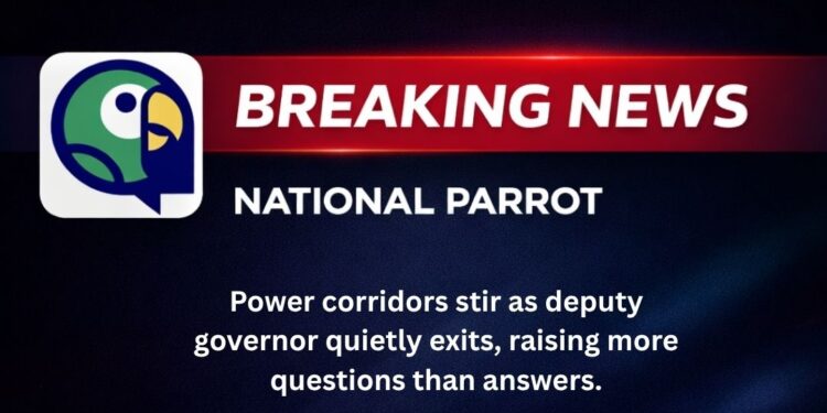 Deputy Governor Bows Out Before 2027 Elections